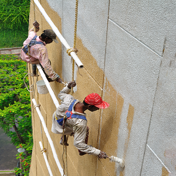 Painting and Rendering